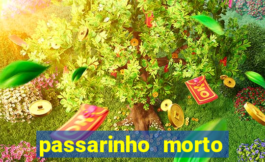 passarinho morto significado espiritual